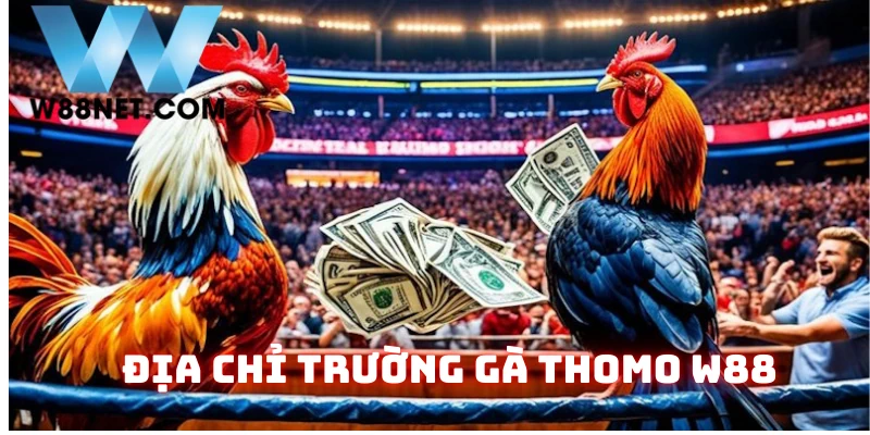 Địa chỉ trường gà thomo